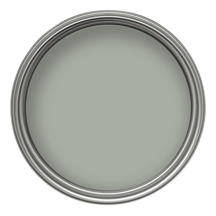 Crown Colour Edit Trailing Plant Paint -