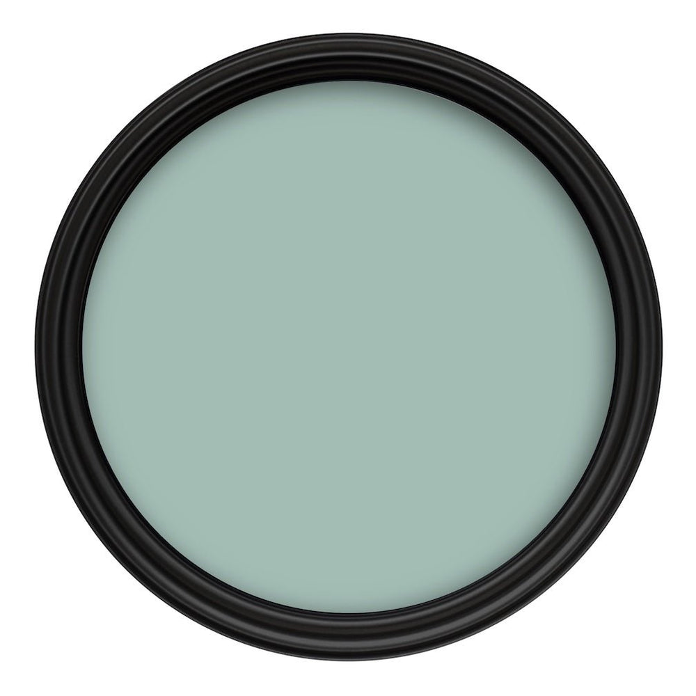 Crown Colour Edit Velvet Leaf Paint - H0470T - MV - 10