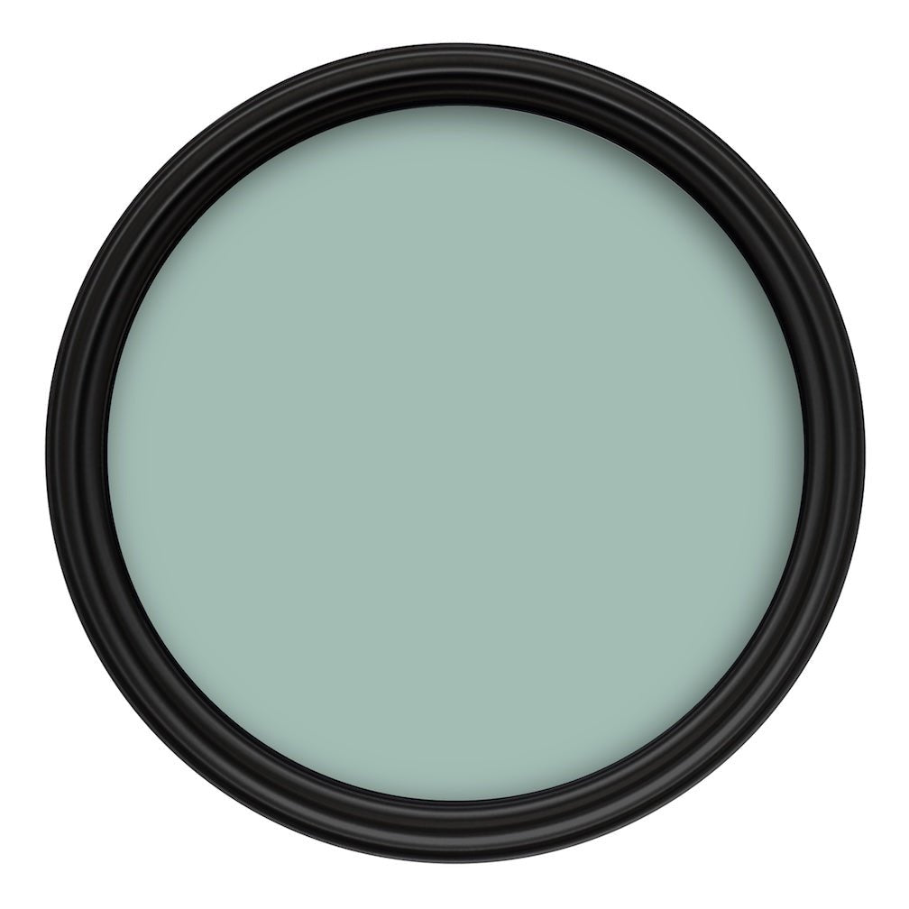 Crown Colour Edit Velvet Leaf Paint - H0470T - MV - 10
