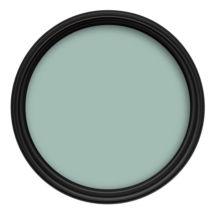 Crown Colour Edit Velvet Leaf Paint - H0470T - MV - 10