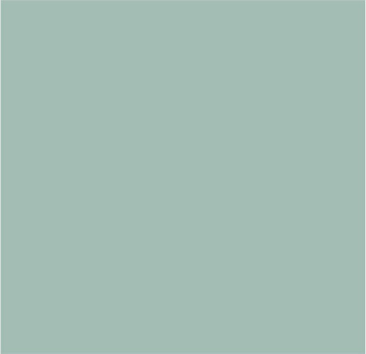 Crown Colour Edit Velvet Leaf Paint - H0470T - MV - 10