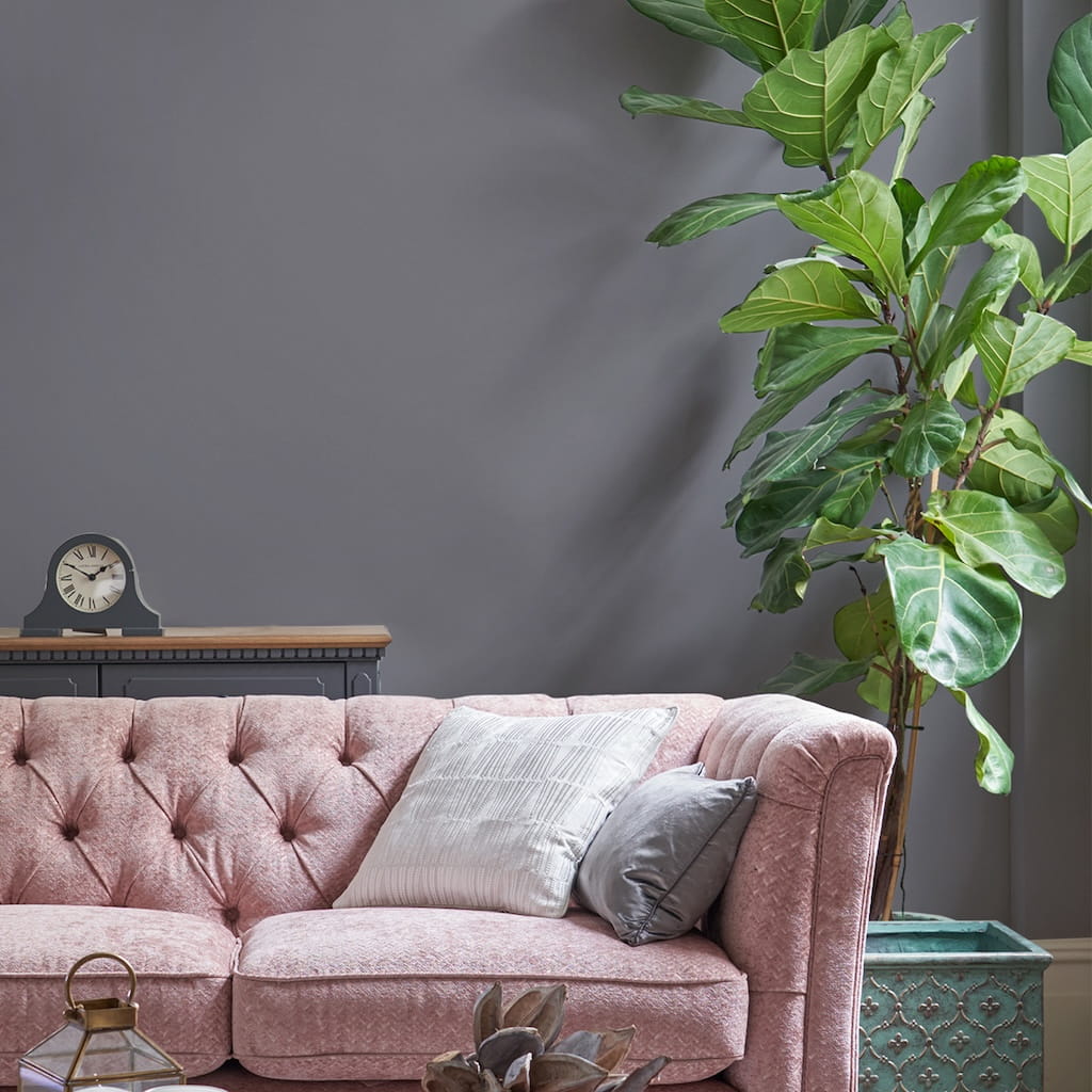 - Laura Ashley Matt Emulsion Paint - Pale Iris - 2.5L - 113714 - Decor Warehouse