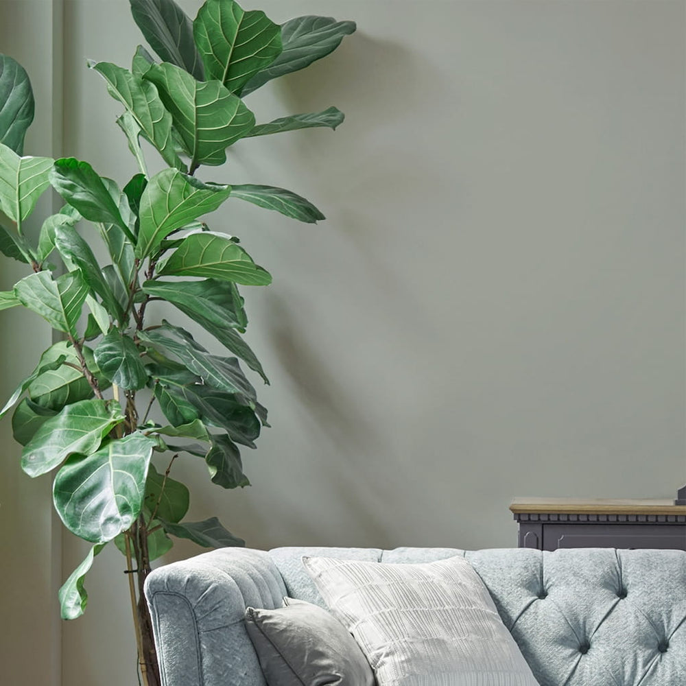  - Laura Ashley Matt Emulsion Paint - Sage Leaf - 2.5L - 113688 - Decor Warehouse