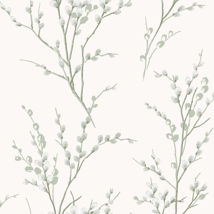Laura Ashley Pussy Willow Sage Green Wallpaper