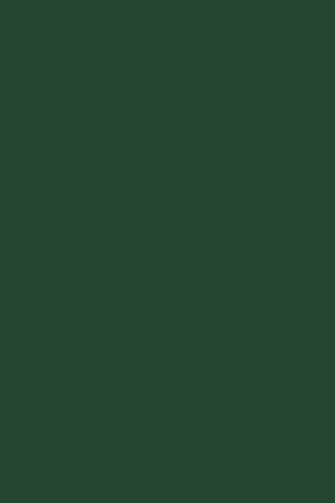 U37095 - Next - Next Ultimate Multi Surface Matt Emulsion Paint - Bottle Green 2.5L - Decor Warehouse