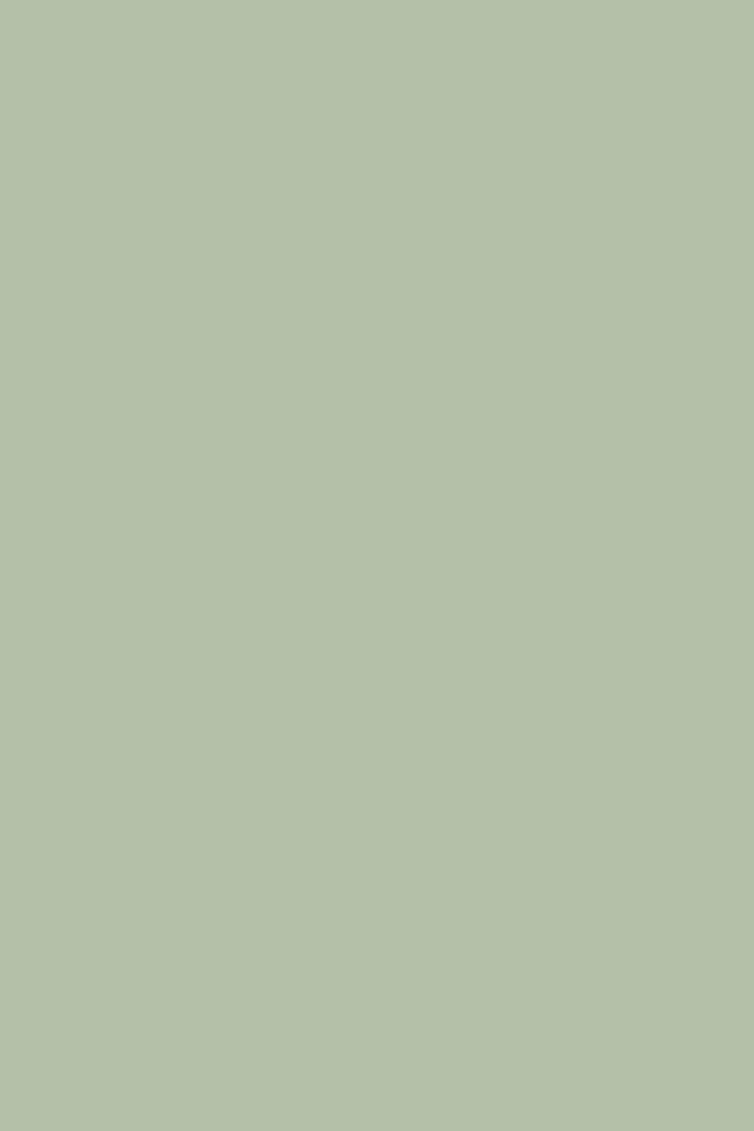 U37093 - Next - Next Ultimate Multi Surface Matt Emulsion Paint - Light Sage Green 2.5L - Decor Warehouse