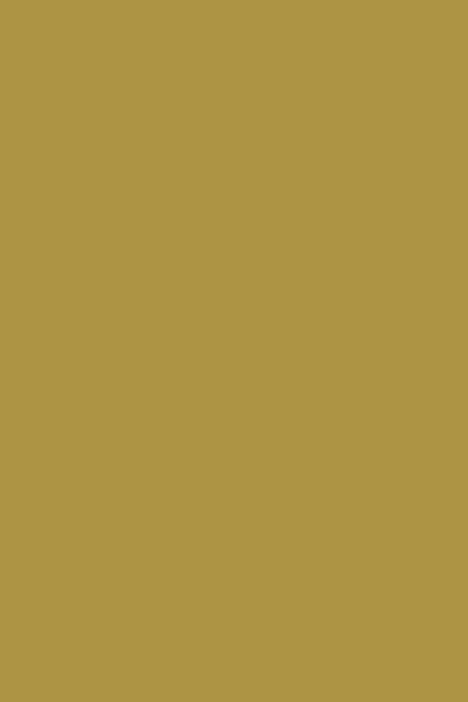  - Next Ultimate Multi Surface Matt Emulsion Paint - Ochre Yellow 2.5L - U37090 - Decor Warehouse