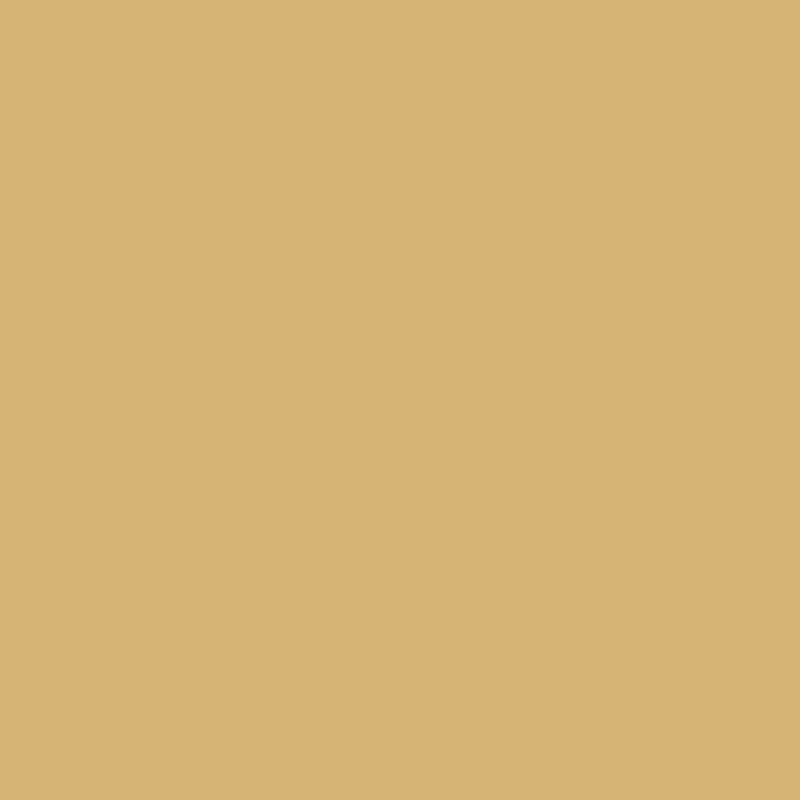 William Morris At Home Gallery Emulsion Lawn Daisy 2.5L - 124283