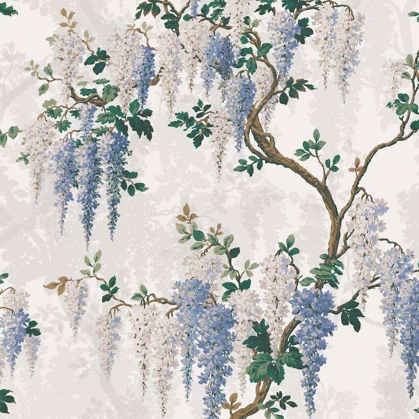 - Wisteria in Cornflower Blue Wallpaper - WM - 333 - 05 - Decor Warehouse