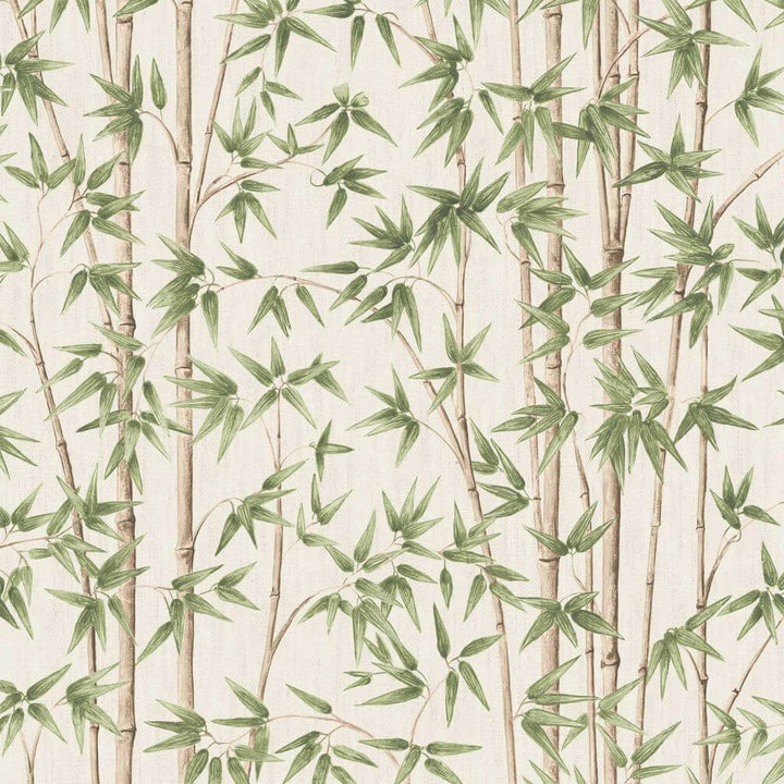 Woodchip & Magnolia Bamboozle Sage Wallpaper - WM-397-02