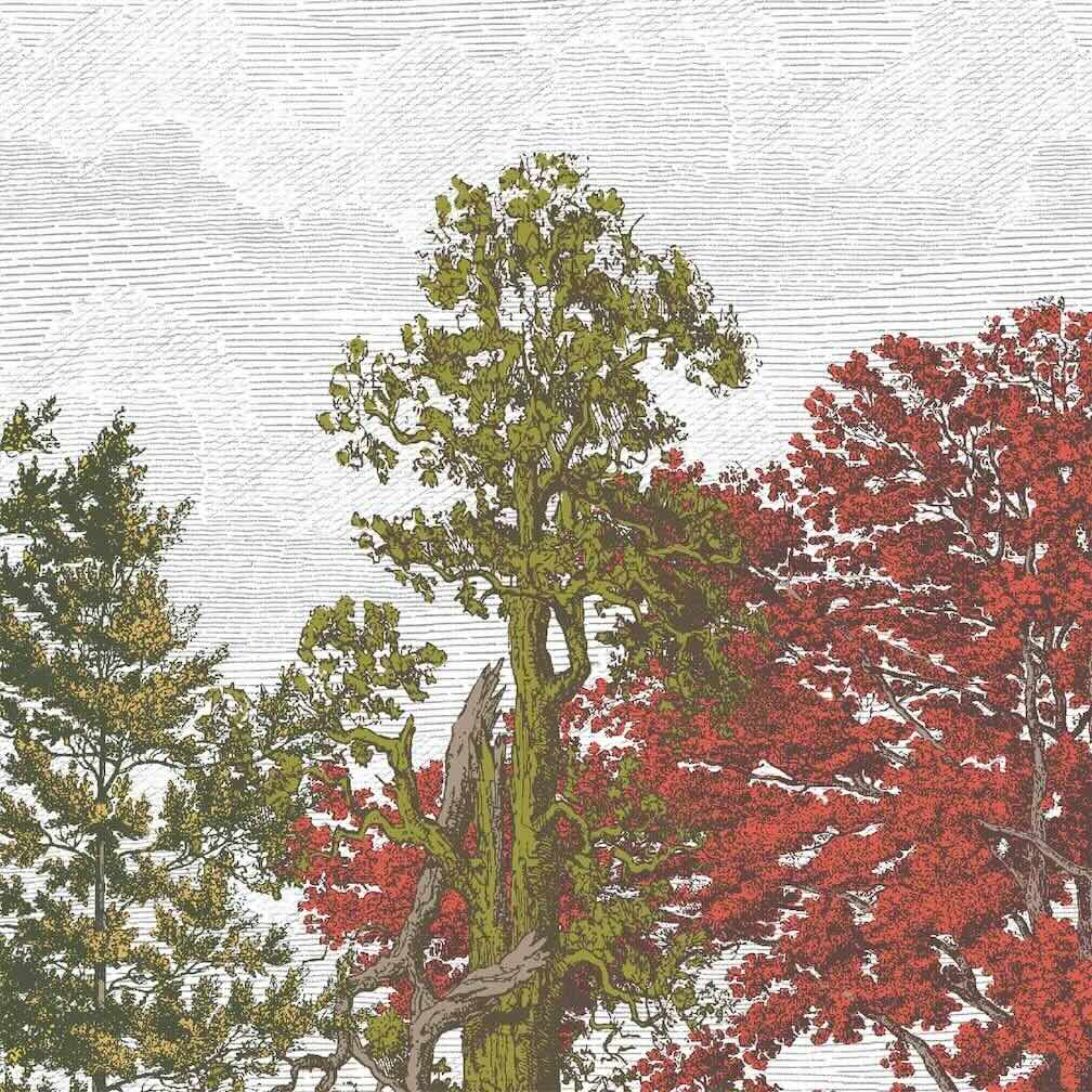 Woodchip & Magnolia Heaton Border - Autumn - WM - 391 - 01