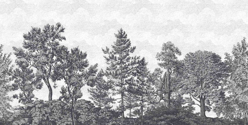 Woodchip & Magnolia Heaton Border - Charcoal - WM - 391 - 04
