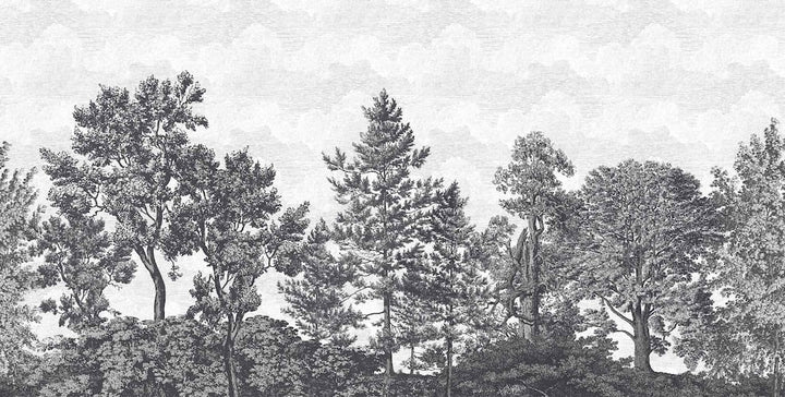 Woodchip & Magnolia Heaton Border - Charcoal - WM - 391 - 04