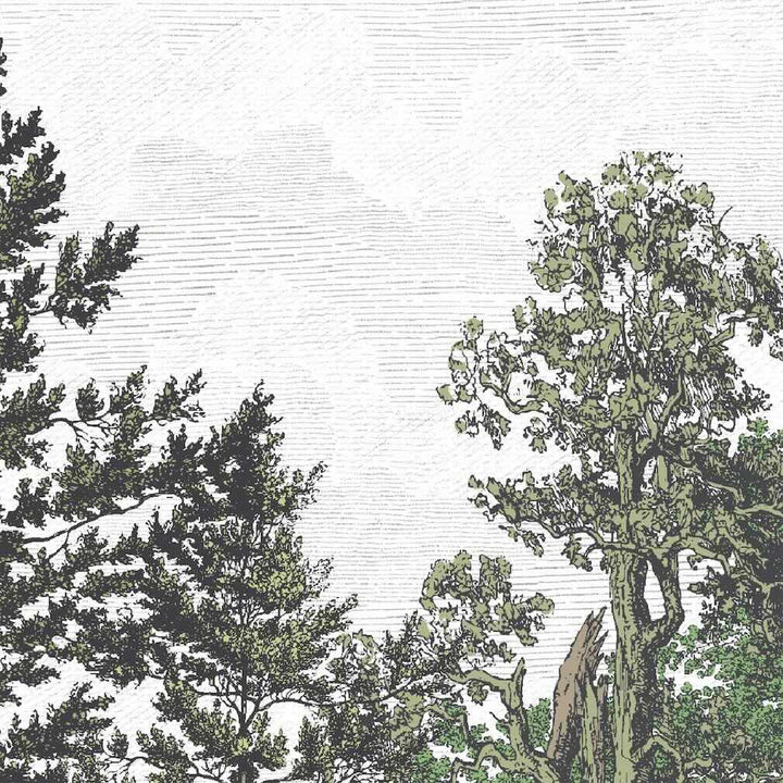 Woodchip & Magnolia Heaton Border - Green - WM - 391 - 05