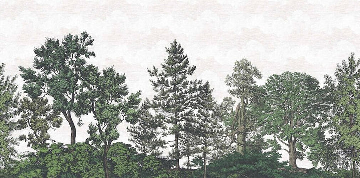 Woodchip & Magnolia Heaton Border - Green - WM - 391 - 05