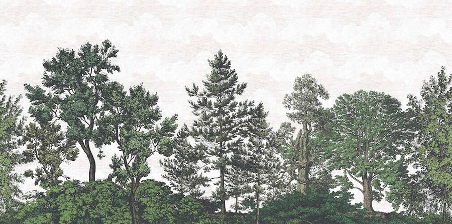 Woodchip & Magnolia Heaton Border - Green - WM - 391 - 05