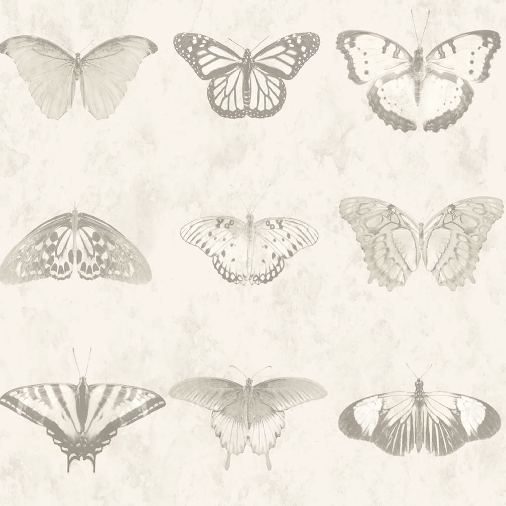 Woodchip & Magnolia Lepidoptera Magnolia Wallpaper - WM - 356 - 06