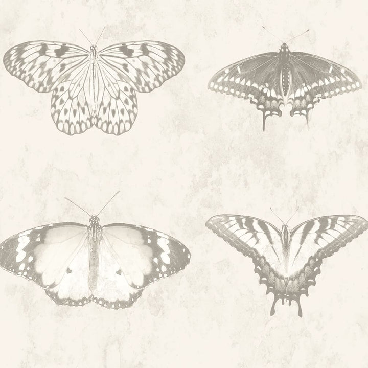 Woodchip & Magnolia Lepidoptera Magnolia Wallpaper - WM - 356 - 06