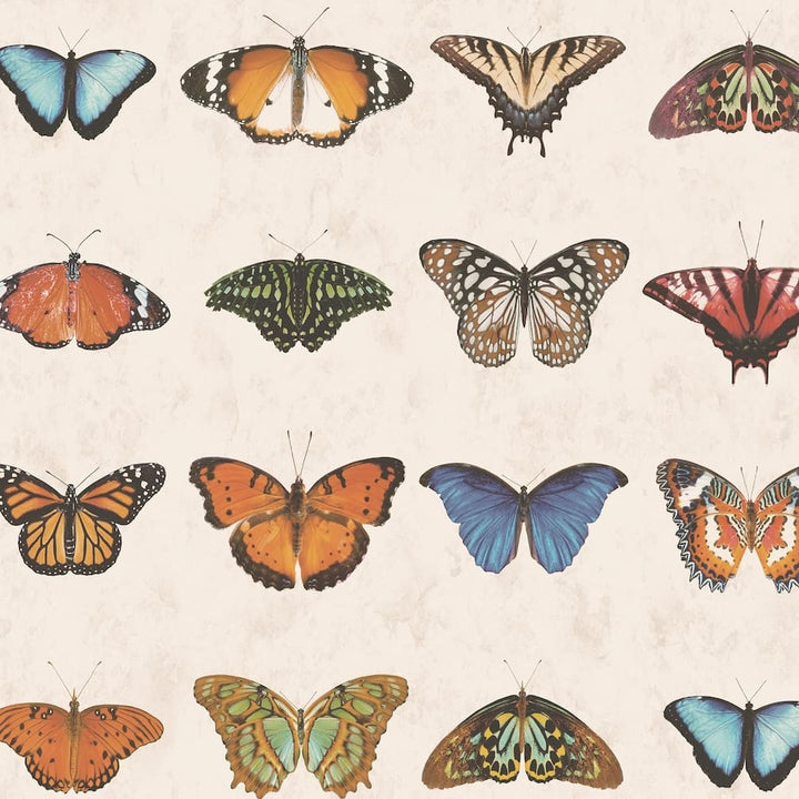 Woodchip & Magnolia Lepidoptera Natural Wallpaper - WM - 356