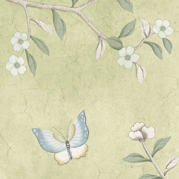 Woodchip & Magnolia Onism Olive Green Wallpaper - WM-454-07-6P