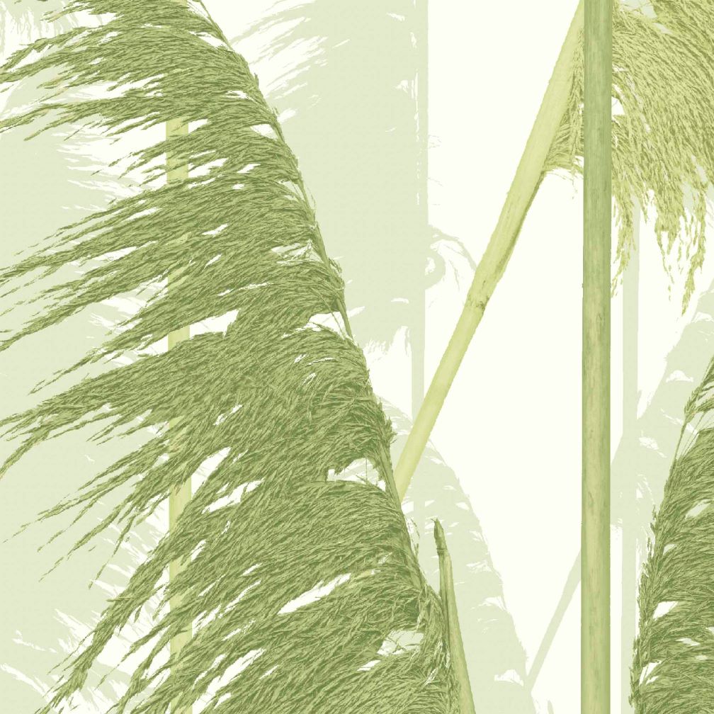 Woodchip & Magnolia Swingers Paradise Green Wallpaper - WM-363-01