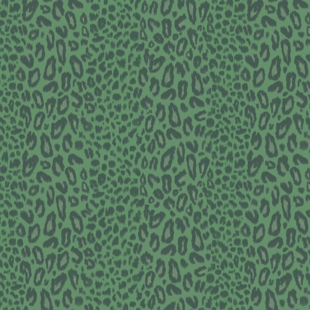 Woodchip & Magnolia Tabby Kat Moss Stripe Wallpaper - WM - 451 - 01