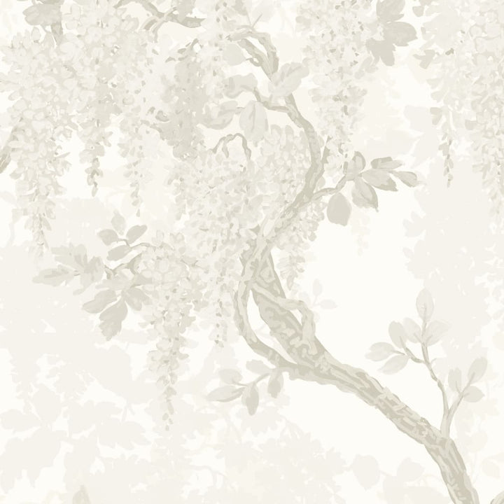 Woodchip & Magnolia Wisteria Magnolia Wallpaper - WM - 402 - 04