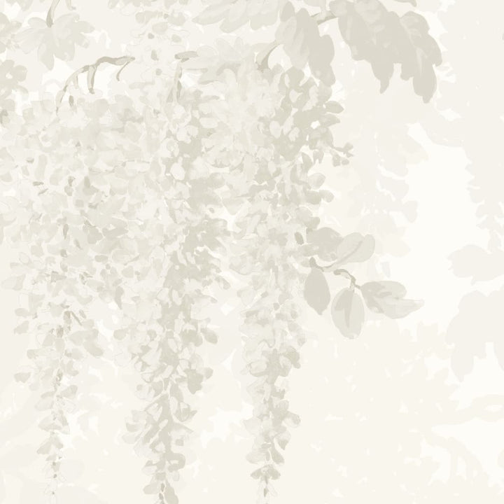 Woodchip & Magnolia Wisteria Magnolia Wallpaper - WM - 402 - 04