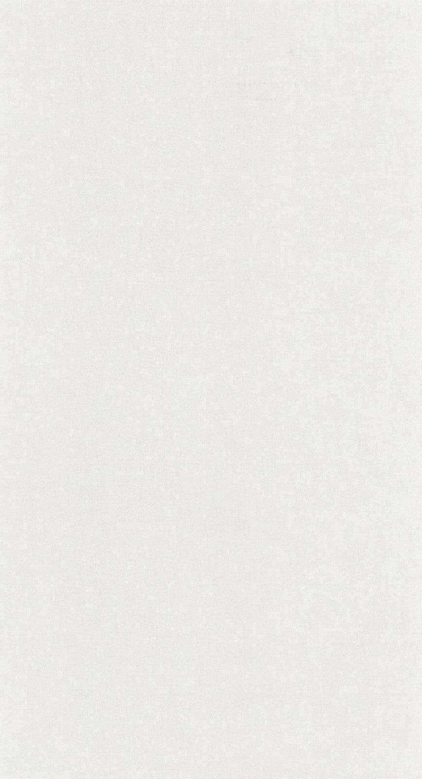 - Casadeco Riverside 4 Empreinte - Blanc Givre Wallpaper - RIVI88700108 - Decor Warehouse
