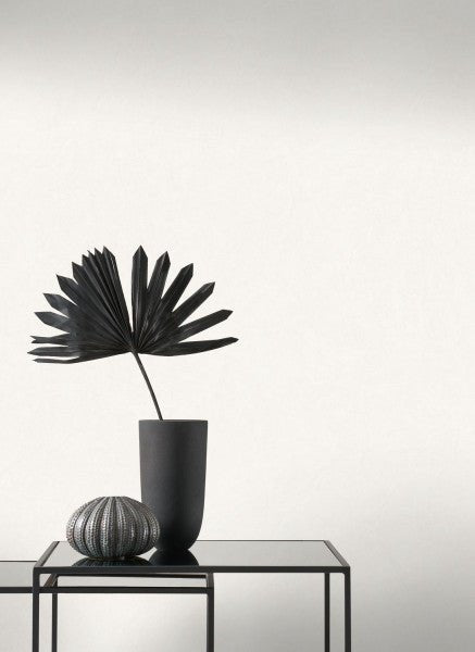  - Casadeco SO Color 5 Cotton Touch - Beige Wallpaper - COLR82381141 - Decor Warehouse