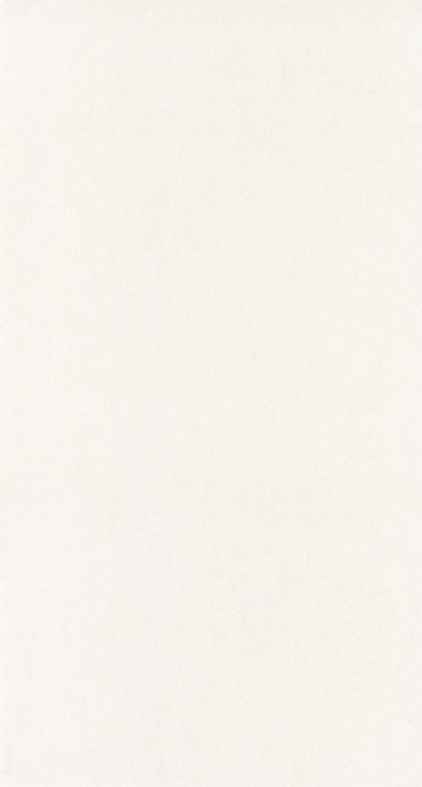  - Casadeco SO Color 5 Cotton Touch - Beige Wallpaper - COLR82381141 - Decor Warehouse