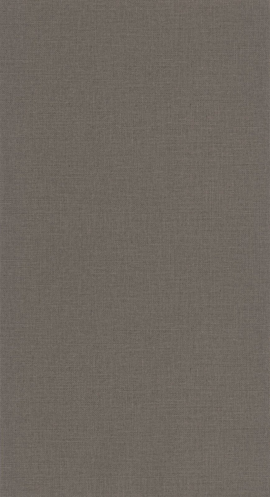  - Caselio Jute Uni Mat - Taupe Cendree Wallpaper - 104012690 - Decor Warehouse
