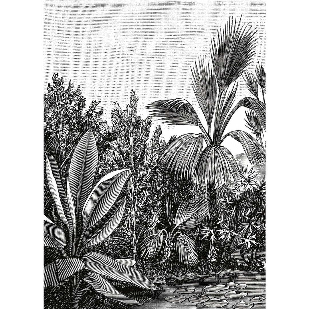  - Caselio - The Place To Be - Escape Black & White Wall Mural - 102059018 - Decor Warehouse