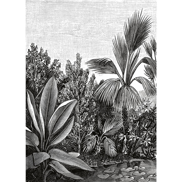  - Caselio - The Place To Be - Escape Black & White Wall Mural - 102059018 - Decor Warehouse