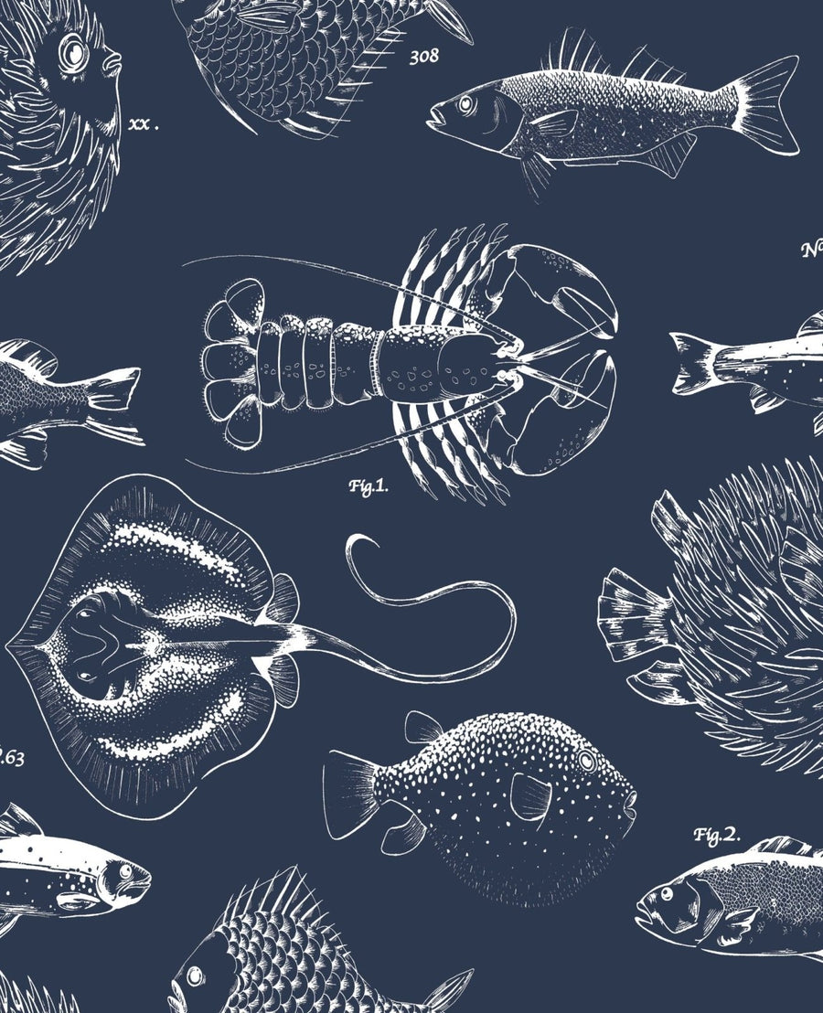  - Contour - Into the Deep Navy Design Wallpaper - 112652 - Decor Warehouse