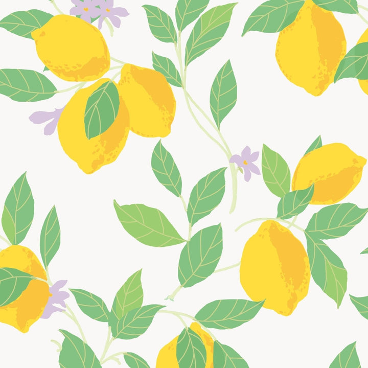 - Envy Feeling Fruity Fresh Wallpaper - 118619 - Decor Warehouse