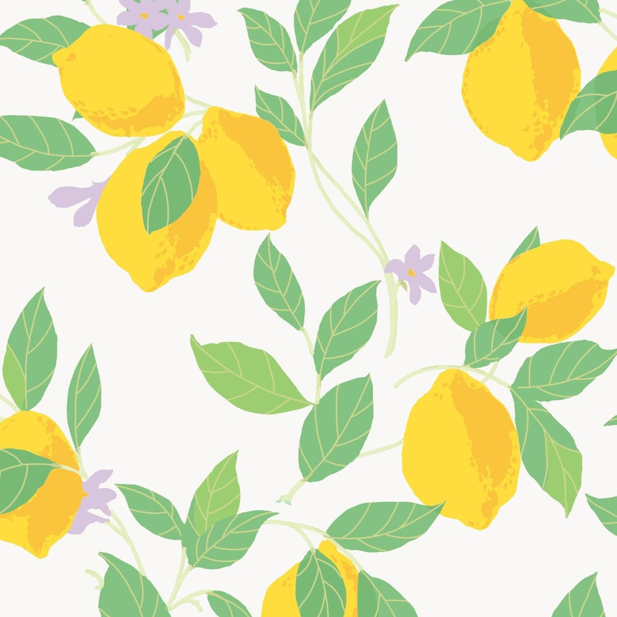 118619-Graham & Brown-Envy - Feeling Fruity Fresh Wallpaper-Decor Warehouse