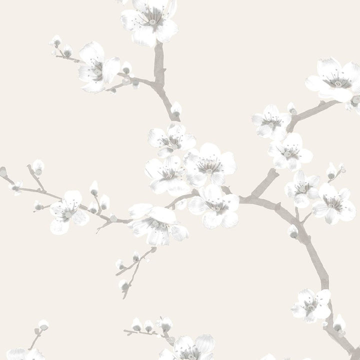 - Fresco - Apple Blossom Wallpaper - 51 - 067 - Decor Warehouse
