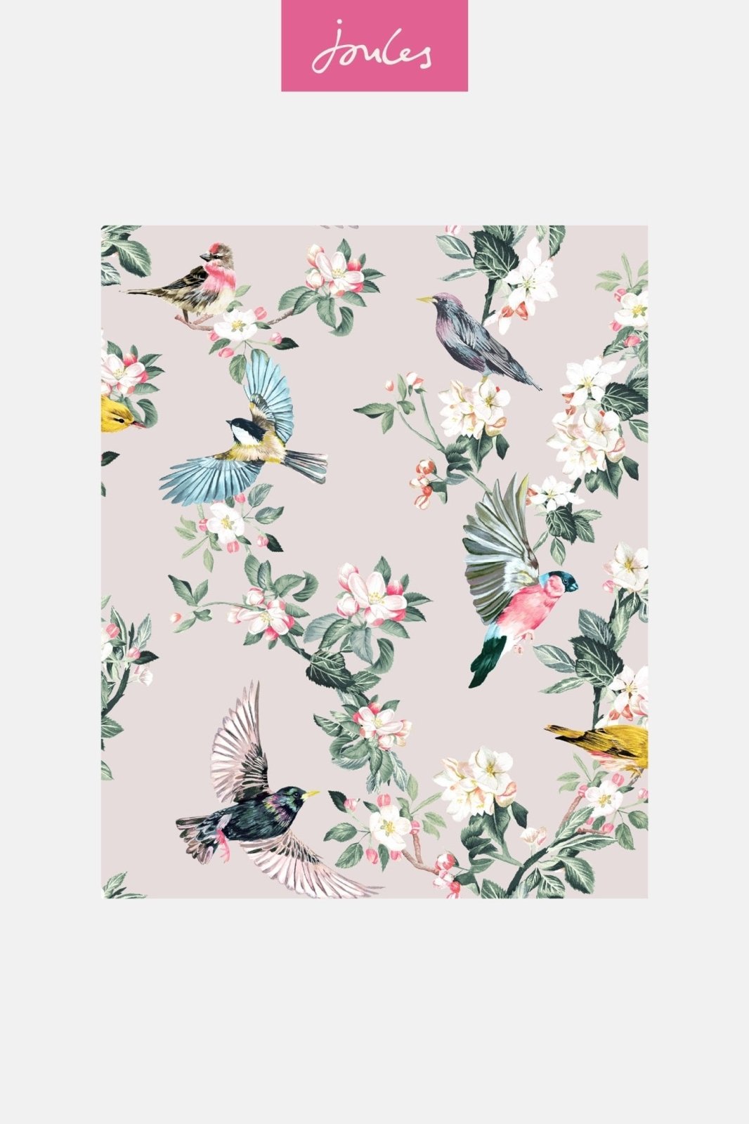 118562-Graham & Brown-Joules - Handford Garden Birds Antique CreÃÄme Wallpaper-Decor Warehouse