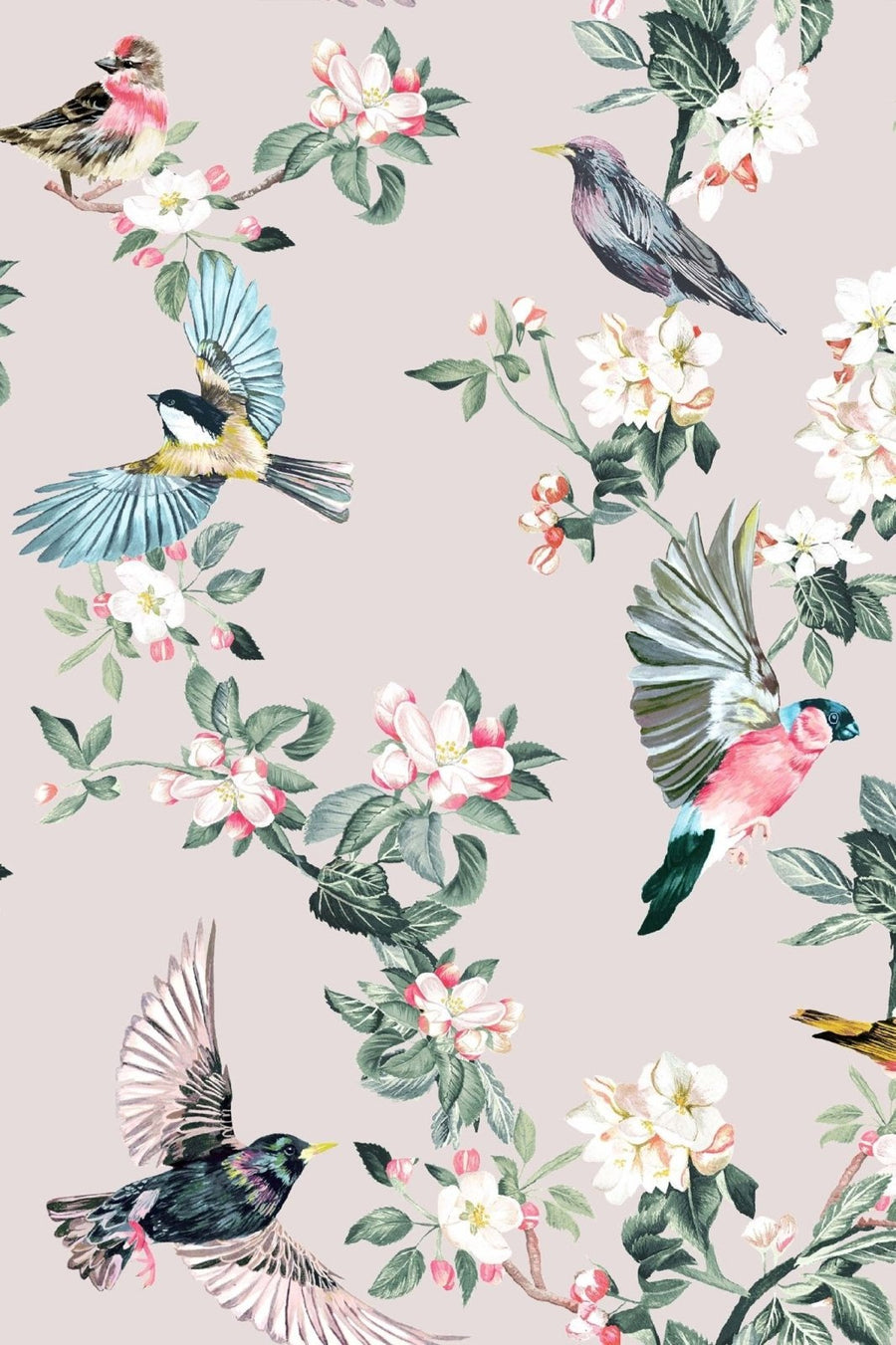 118562-Graham & Brown-Joules - Handford Garden Birds Antique Crème Wallpaper-Decor Warehouse
