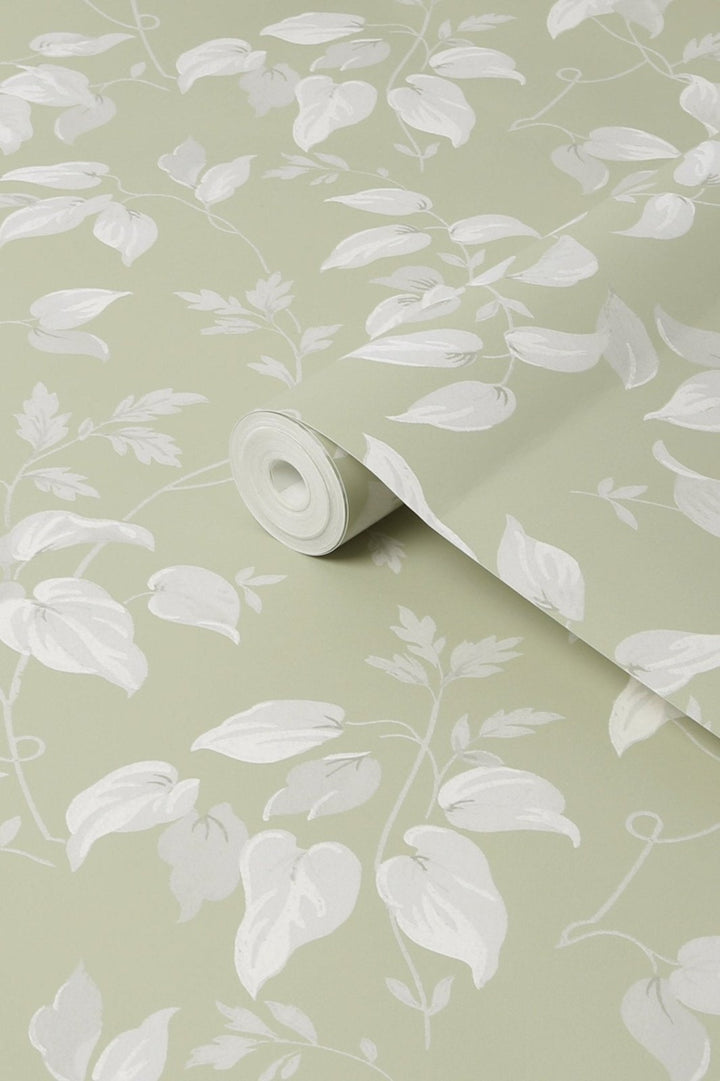 118259-Graham & Brown-Next - Trail Flower Green Wallpaper-Decor Warehouse