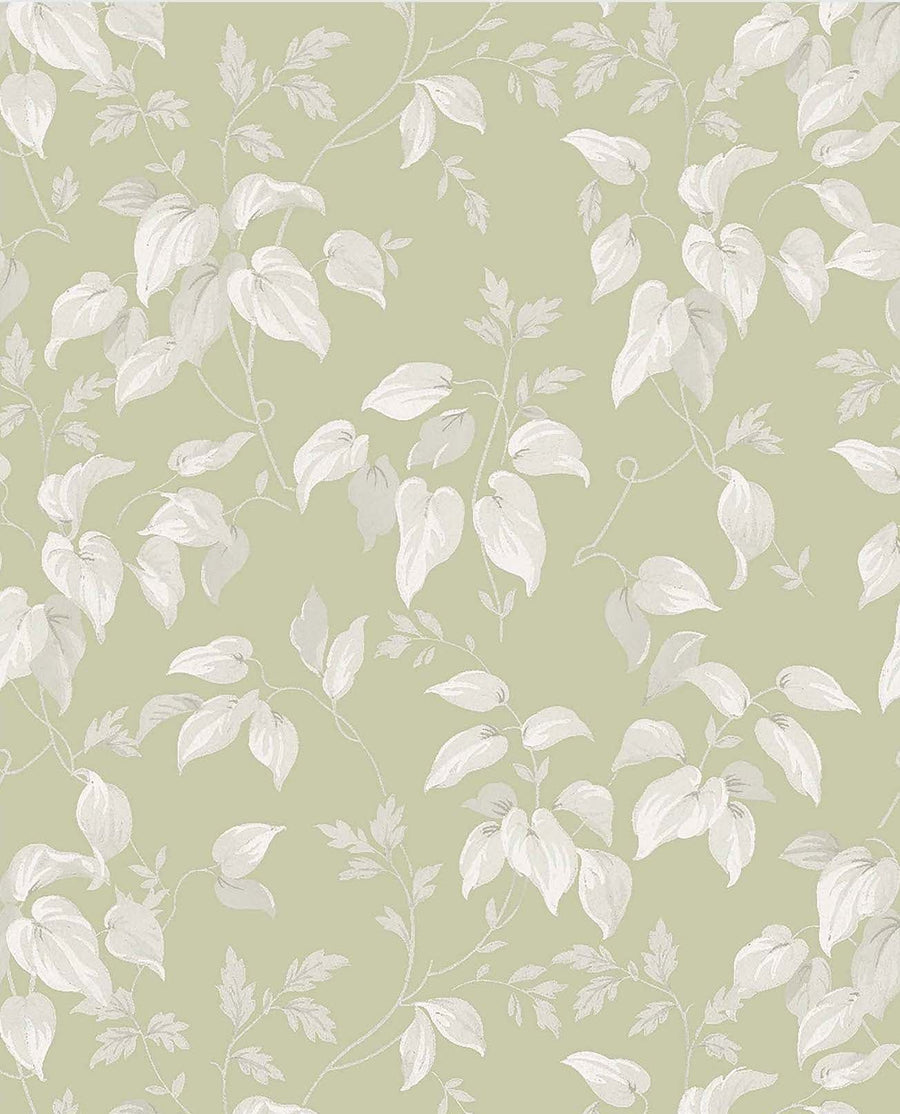 118259-Graham & Brown-Next - Trail Flower Green Wallpaper-Decor Warehouse