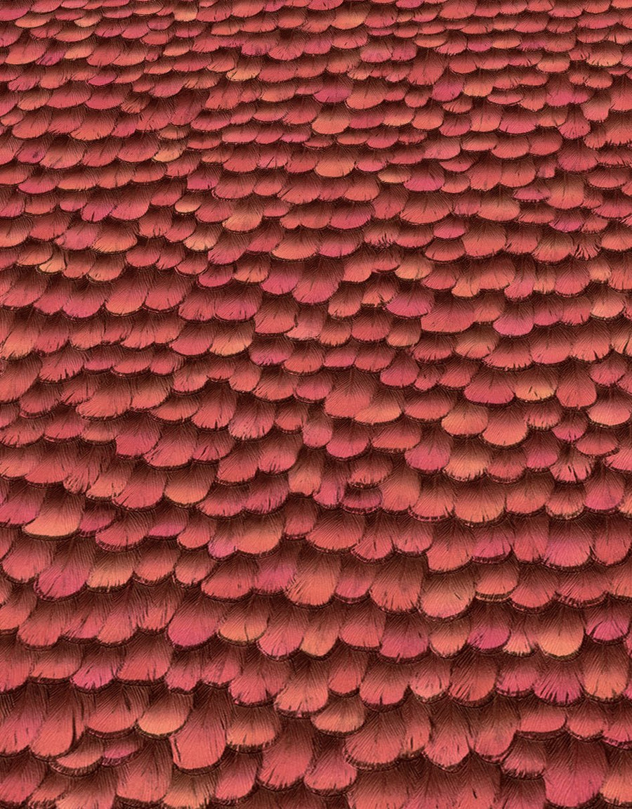 10129-06-Erismann-Select - Paradisio 2 Non-Woven 3D Feathers Red Wallpaper-Decor Warehouse