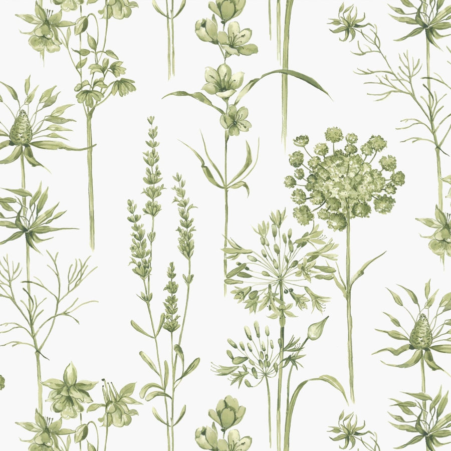 117850-Graham & Brown-Superfresco - Medley Fig Green & White Wallpaper-Decor Warehouse