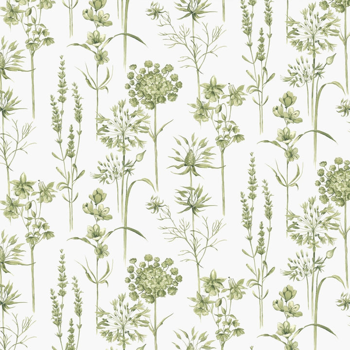 117850-Graham & Brown-Superfresco - Medley Fig Green & White Wallpaper-Decor Warehouse