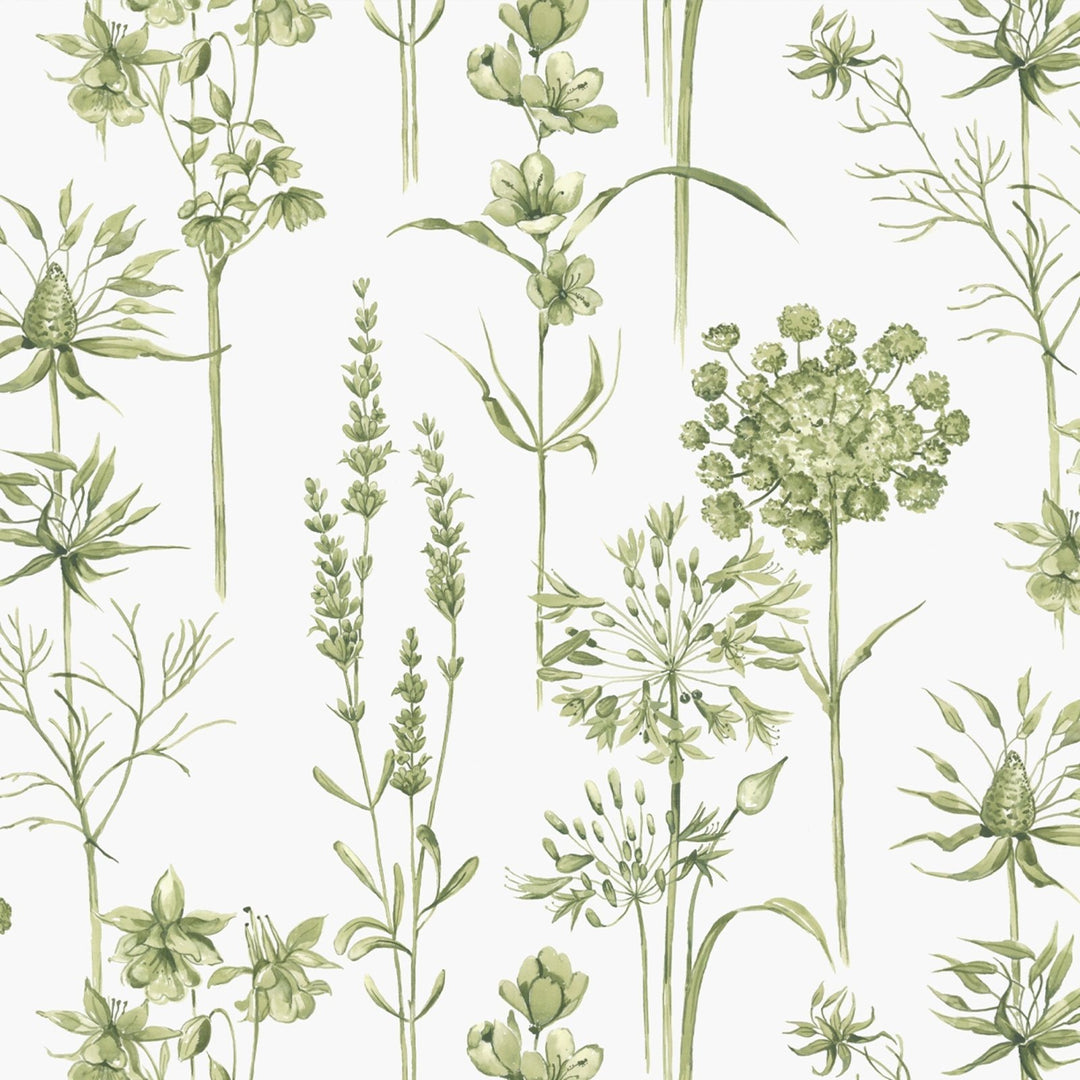 117850-Graham & Brown-Superfresco - Medley Fig Green & White Wallpaper-Decor Warehouse
