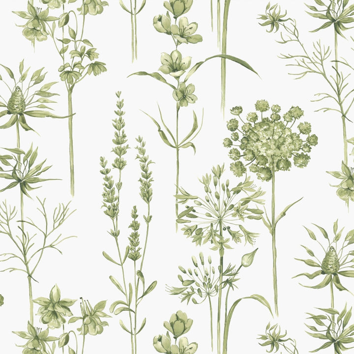 117850-Graham & Brown-Superfresco - Medley Fig Green & White Wallpaper-Decor Warehouse