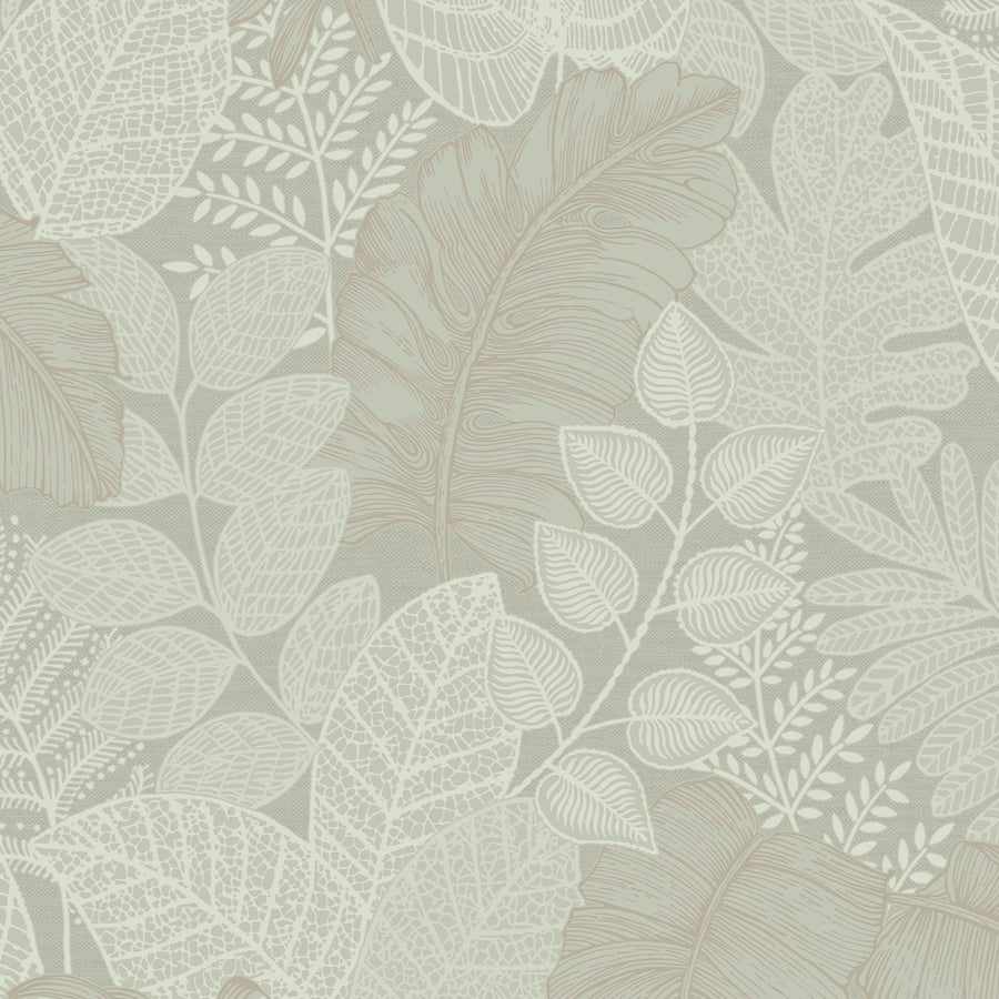 122424-Graham & Brown-Superfresco Easy - Scattered Leaves Sage Green Wallpaper-Decor Warehouse
