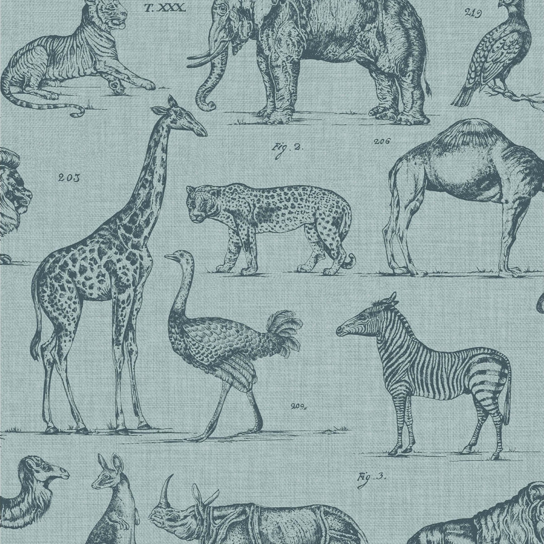 117806-Graham & Brown-Superfresco - Zoology Wallpaper-Decor Warehouse
