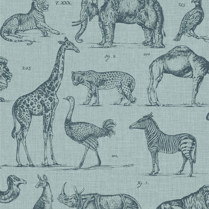 117806-Graham & Brown-Superfresco - Zoology Wallpaper-Decor Warehouse